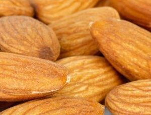 Almond Sweet Refined Carrier Oil (Prunus dulcis)