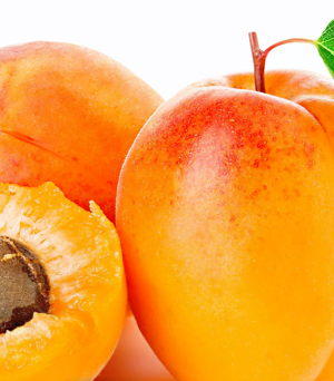 Apricot Kernel Carrier Oil (Prunus armeniaca)