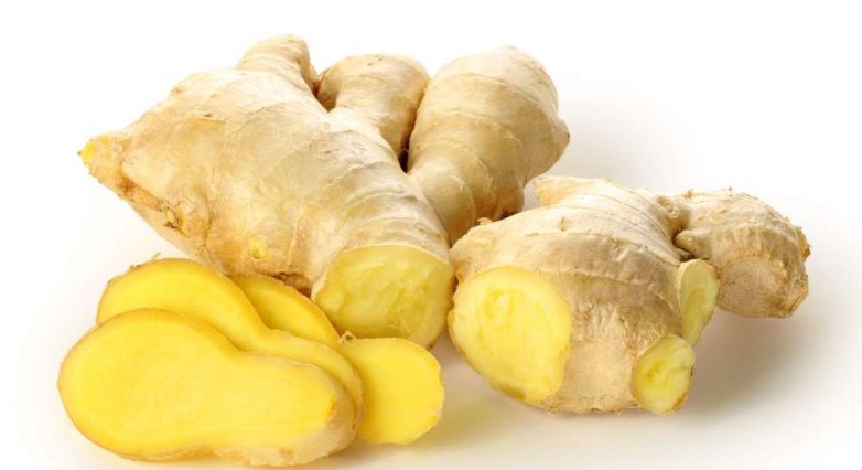 10 Health Benefits of Ginger Plant (Zingiber officinale)