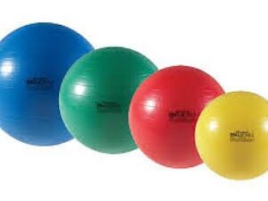 Body Sport Exercise Ball