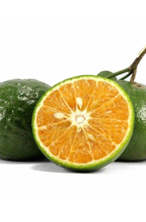 Green Mandarin Essential Oil