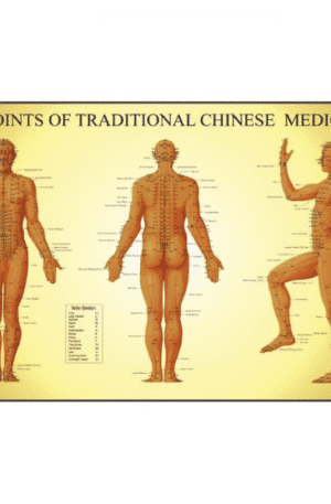 Acupoints Chart